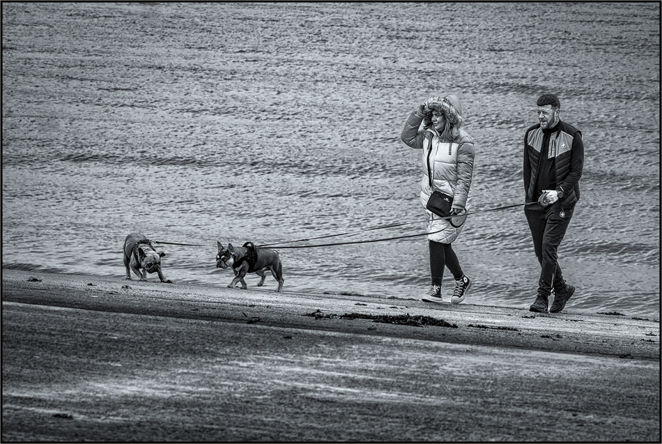 Walking the Dogs Up the Landing Stage in Ormes Bay, Llandudno